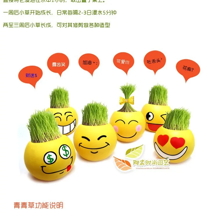 Мини-растение со смайликом, мини-горшок для рабочего стола, «сделай сам», бонсай, забавные подарки