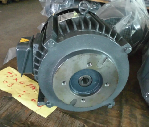 Three Phase AC Motor 380V Hydraulic Vibrating Electric Motor Made in China