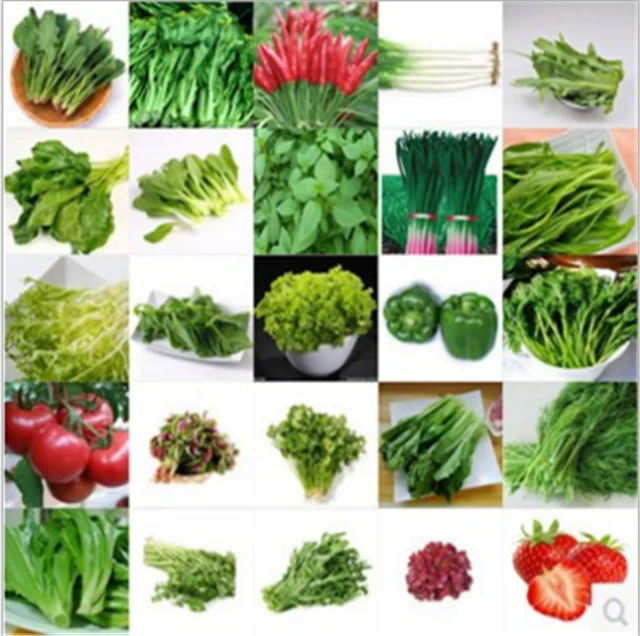 
China supplier All Kinds of Hybrid baby vegetable seeds 