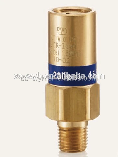 LNG safety valve Cryogenic Pressure relief valve for tank