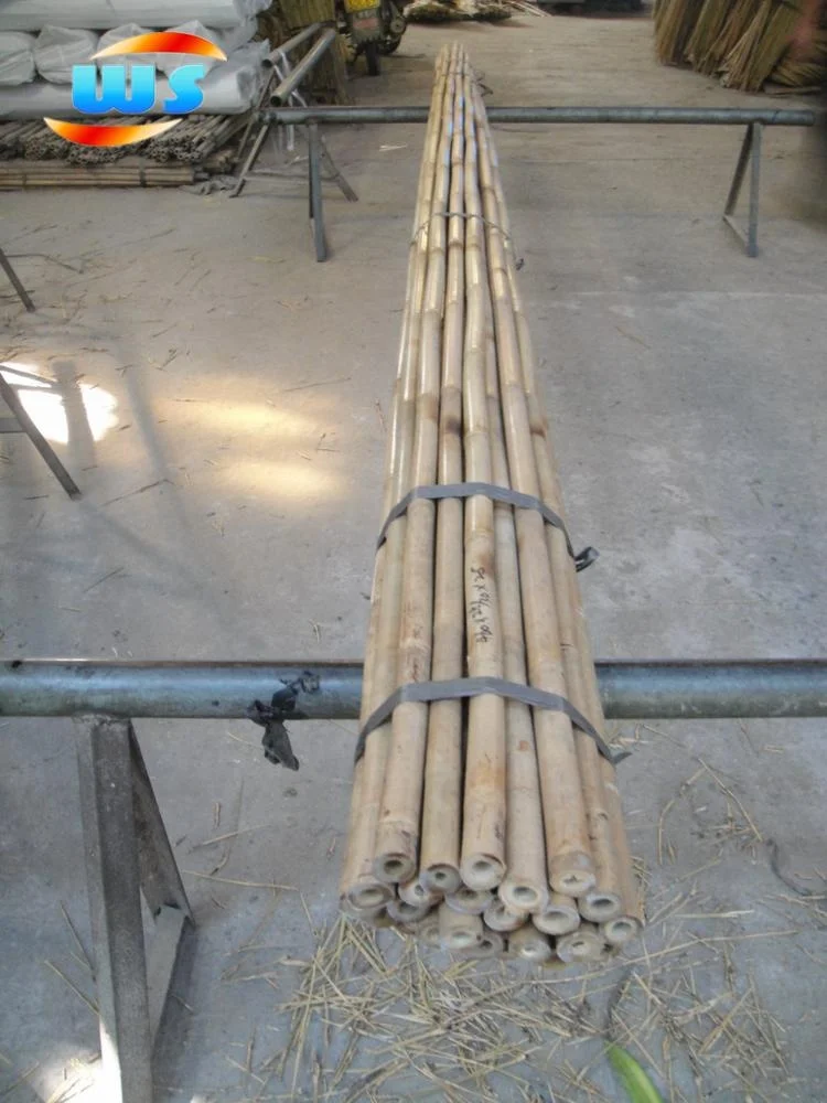Tonkin bamboo  cane
