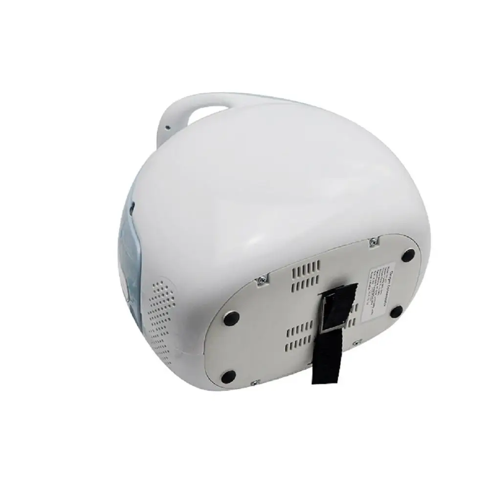 Egypt price  medical continuous pocket size 3L heavy duty oxygen concentrator