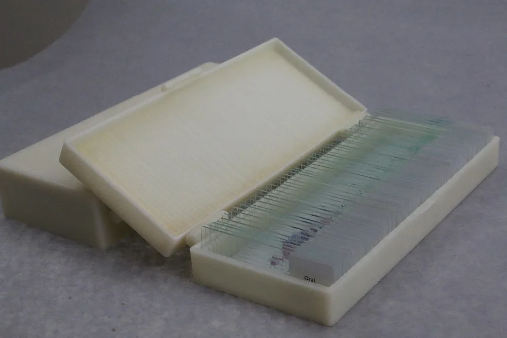 medical science Prepared Glass Microscope Slides for Student science research for human histology slides
