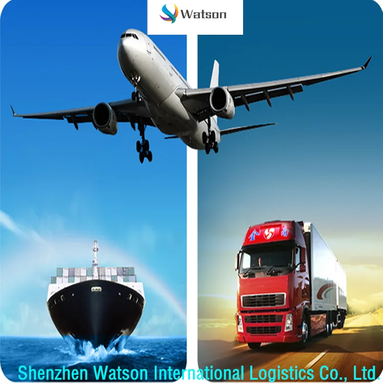 
China to Italy/France/UK/Spain/Germany/European Amazon FBA DDP Transportation Service 