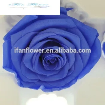 
Wedding stage decoration with flower big rose flower preserved flower roses 