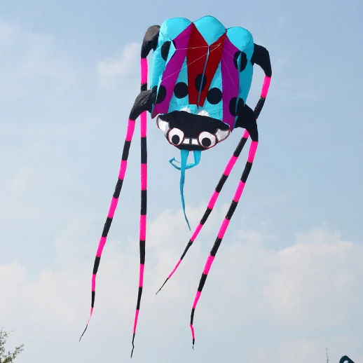 Colorful ladybug inflatable kite from china