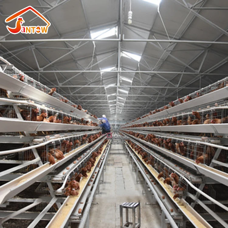 hot galvanizing chicken cage for poultry equipment A type 3 tier 4 tiers 160 birds chicken layer battery cage for sale