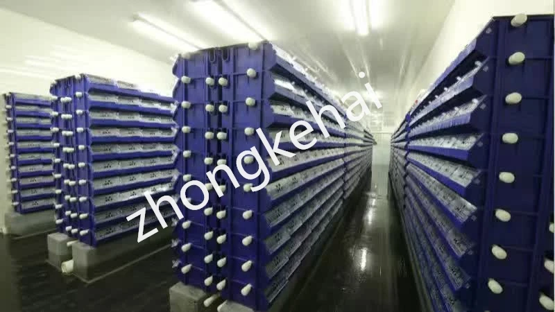 Софтшелл Краб фермерская коробка-система RAS