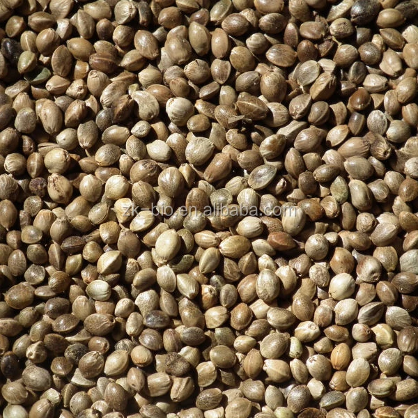 Высококачественные органические ядра семян конопли