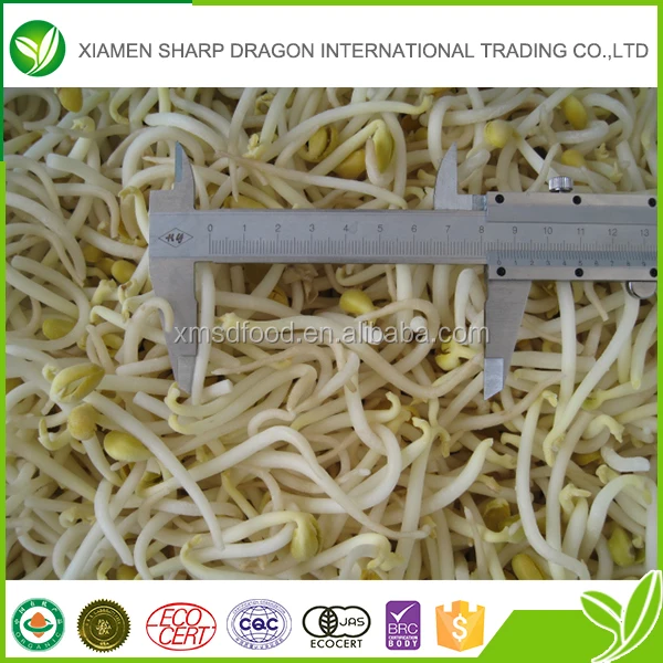 
Горячие продажи вкусные сорта дешевые мороженой фасоли 