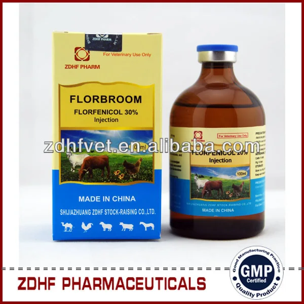 
supply antibiotic medicine Florfenicol Injection 10% for chicken Diarrhea 