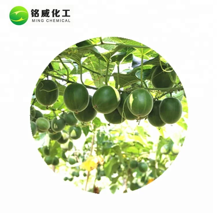 Bulk Organic Monk Fruit Extract 20% Mogroside V Luo Han Guo Extract Powder