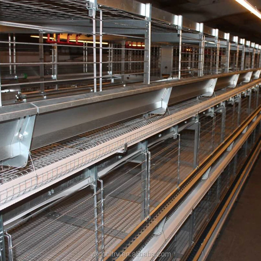 
H Type Automatic Egg Chicken Laying Coop 