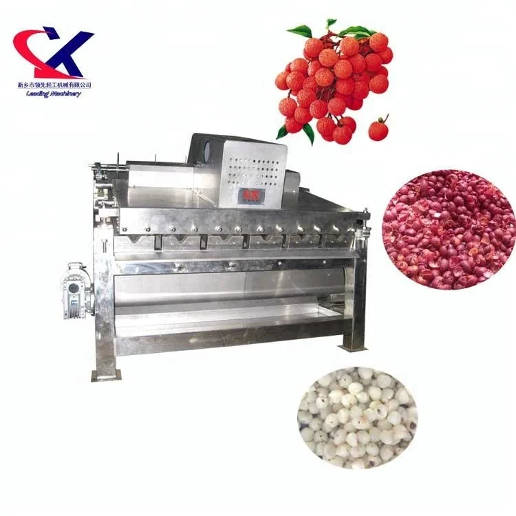 Offer Lychee fruit wine lychee juice 2000kg/h litchi processing plant