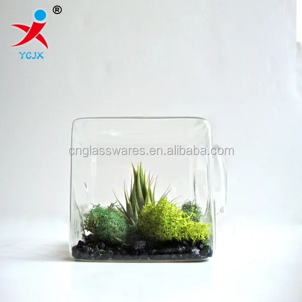 New Design square Glass Jar Terrarium for