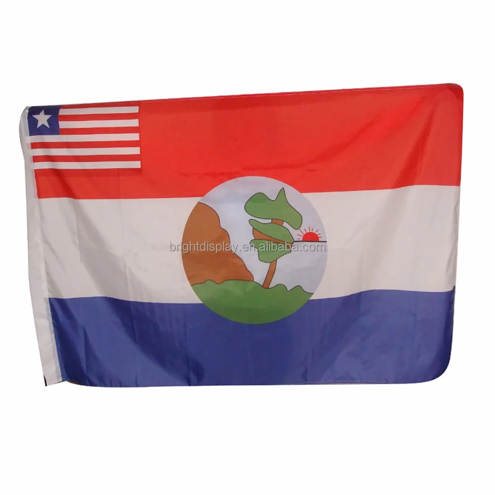 
High quality National Flag ,Nice Polyester Flag for advertising. 