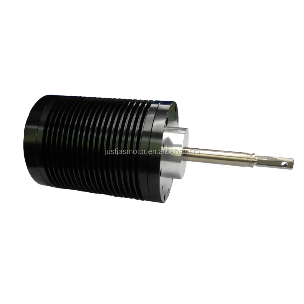 310V 1KW 2KW high speed 48v 10000 rpm cutting machine meat grinder automatic BLDC motor
