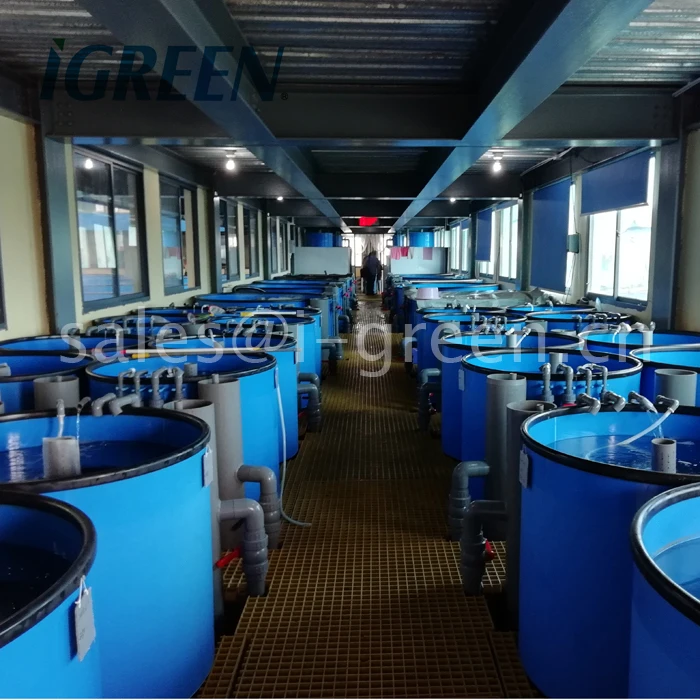 Complete aquaculture system from fish egg hatchery to big fish harvest