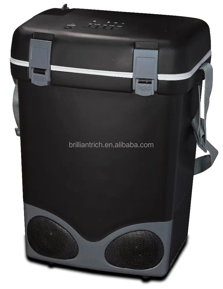 cooler and warmer box with wireless speaker