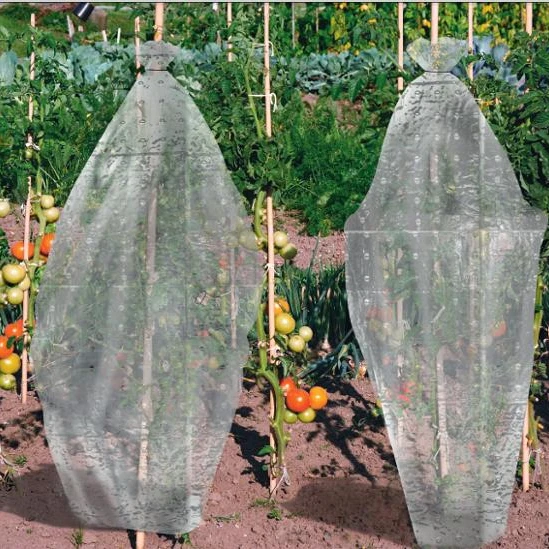 PE Agricultural Tomato tube Green house with holes to protective