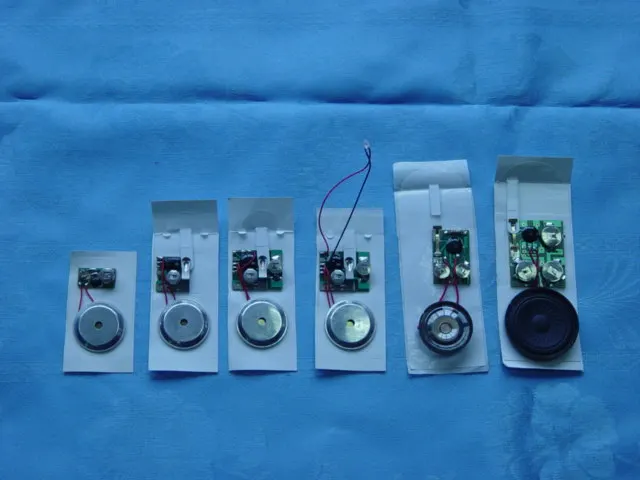 Greeting Card Sound Module