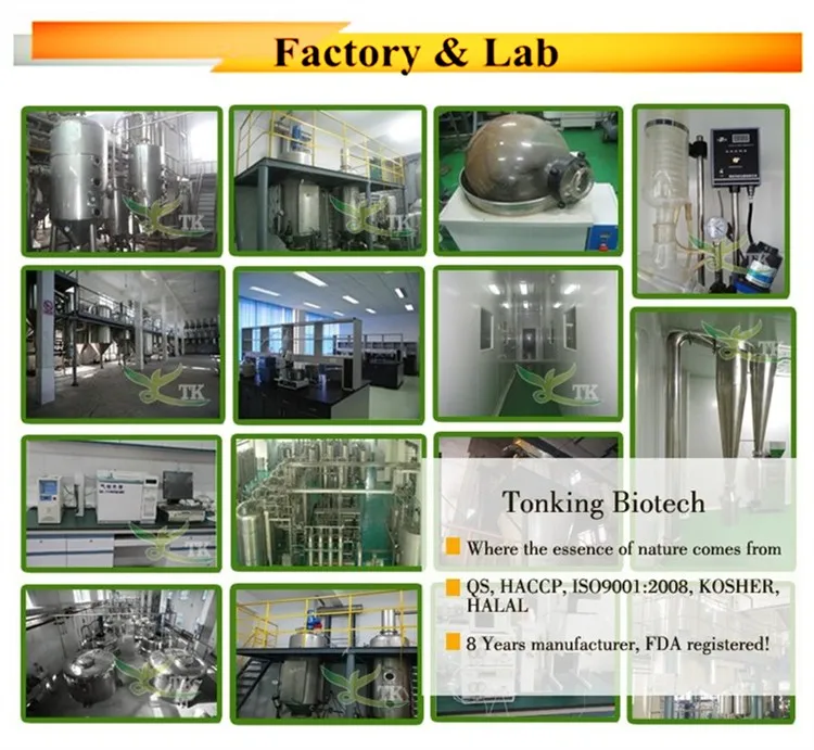 
ISO factory Astragalus Membranaceus Extract 0.3% Astragalus root extract 