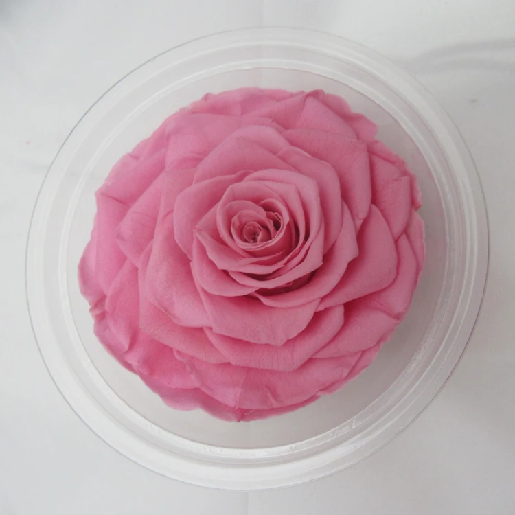 
Big pink rose bud size 9-10cm preserved flower material natural preserved roses for innovative birthday gifts in box 