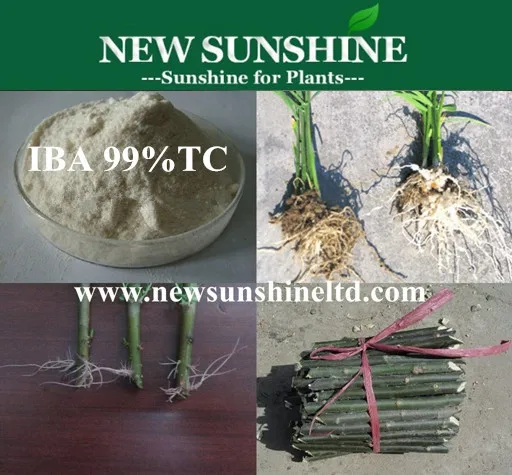 Hormex Rooting Powder IBA Hormodin 99% TC