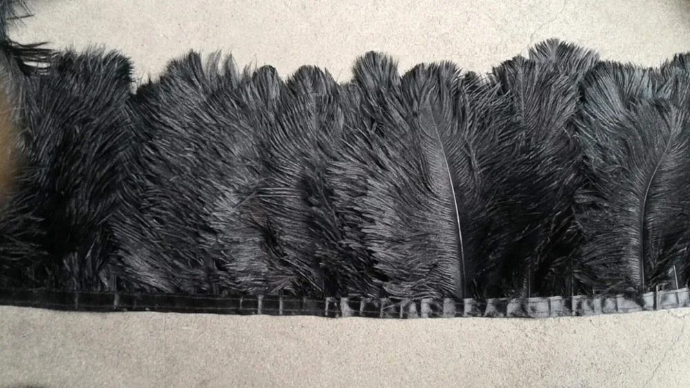 Black Ostrich feather Fringe trimming with ribbon