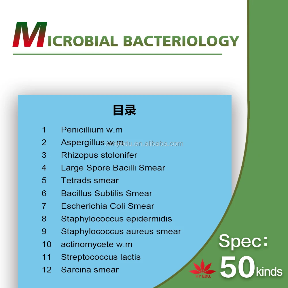 50 kinds kit fungi and bacteria Microorganism cells prepared microscope microbiology slides for biology education