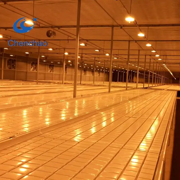 Greenhouse kits ebb flow trays rolling tables plant growing trays