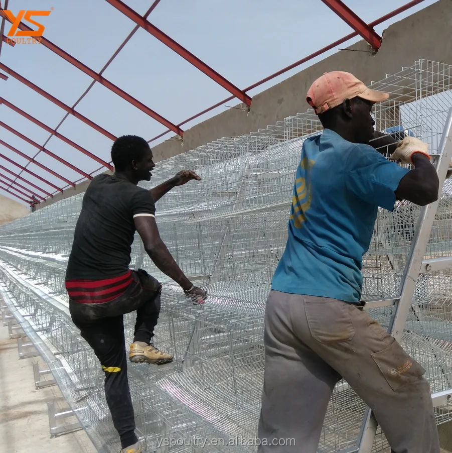 Elevated Chicken House /Two Floors Poultry House Design