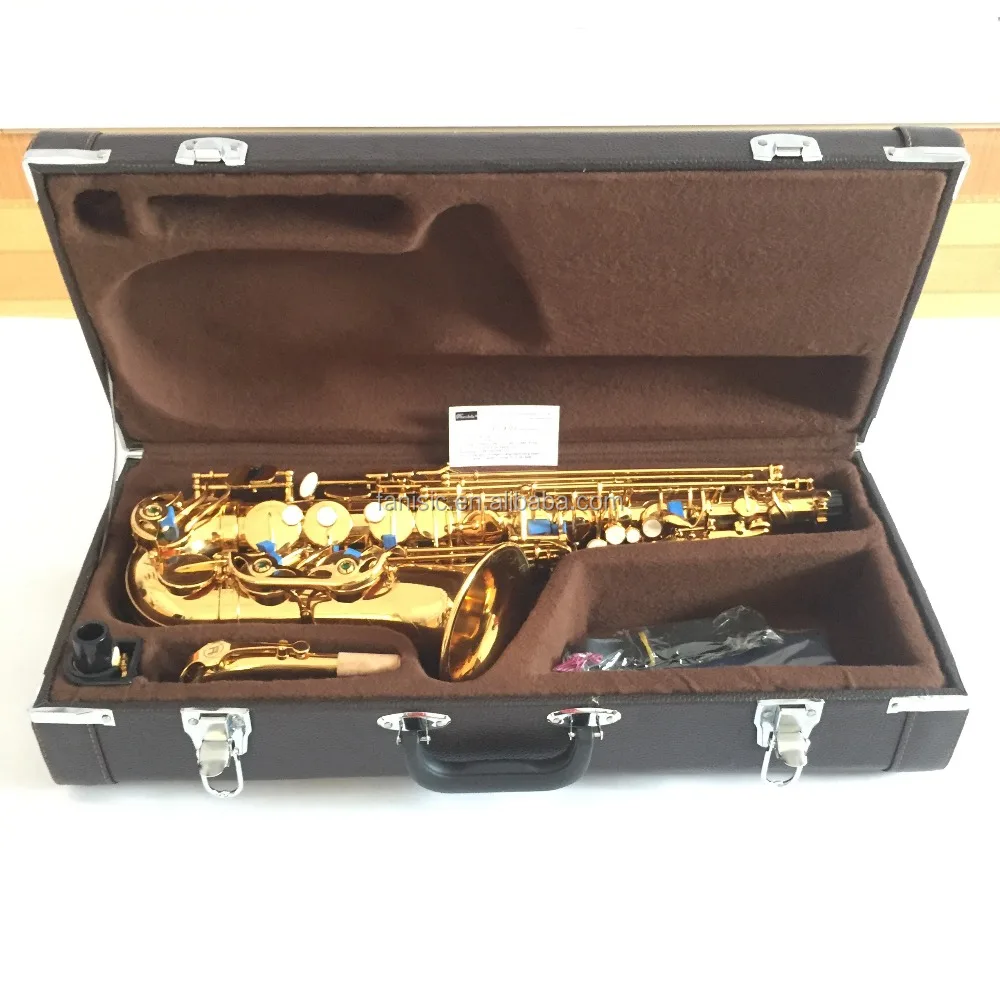 Leather Alto saxophone case