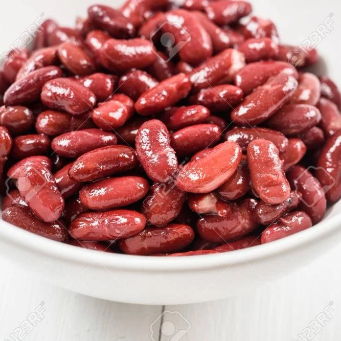 types of canned pinto beans 400g in brine/in tomato sauce