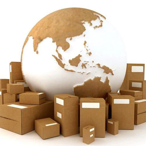 
Professional Shipping Agent Sea Freight China To South Africa 