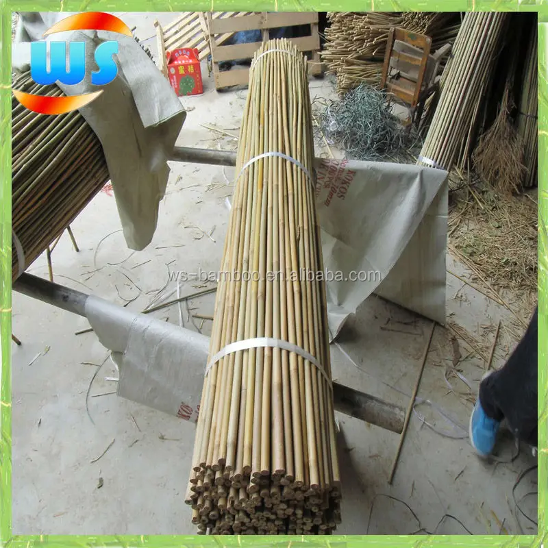 Bamboo Garden Supplies/Bamboo cane for support grape growing 150cm 12--14mm