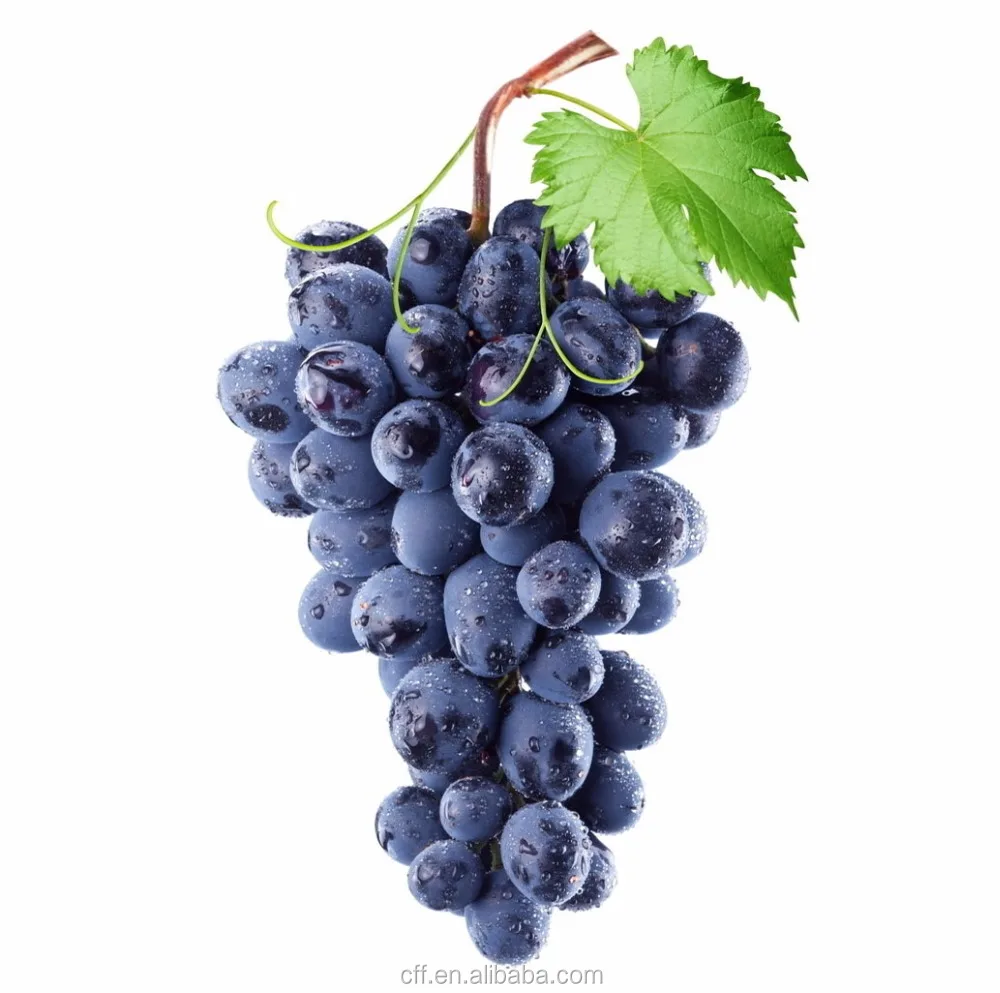 Blackcurrent concentrate flavour for  liquid adding rate 4%-10% in PG,VG basic--18 years flavour manufacturer