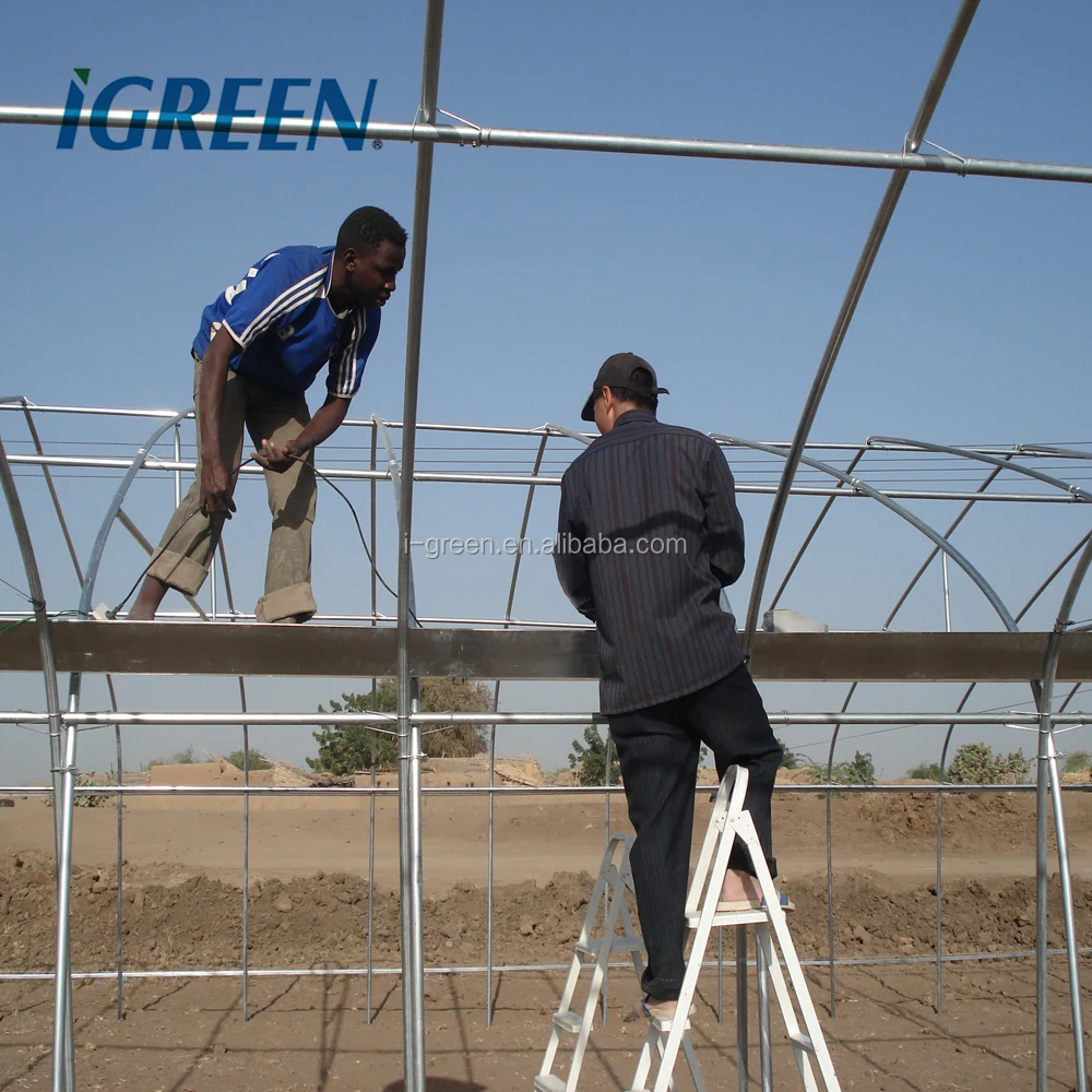 Economical hoop house agricultural modern greenhouse sale