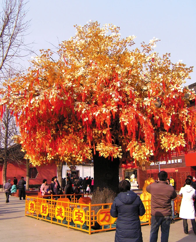 Artificial Wish Tree / Banyan Tree/Ficus Trees