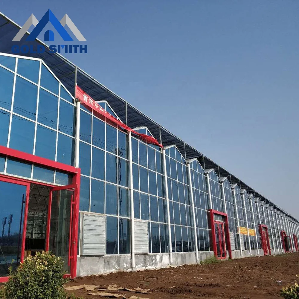 Customized Venlo Type Steel Tube Agriculture Greenhouse with Cooling Equipment