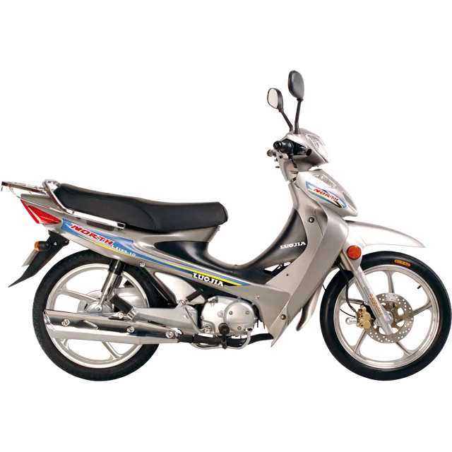 Future110, 110cc Motorcycle Cub Gasoline Motorcycle Africa South America Market