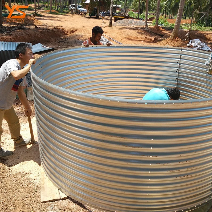 Battery Type A layer Egg Chicken Cage in Sri Lanka