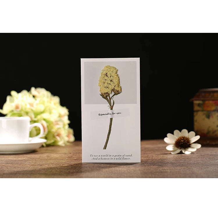 Miniature bouquet of tiny flowers greeting cards with dry cards
