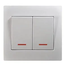 European standard 2G 2 connector(s) switch with light -- U105-N