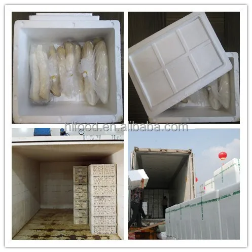 
2019 Hot sale fresh king oyster mushroom 