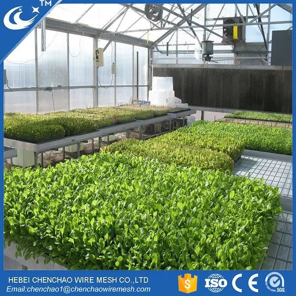 fixed and rolling bench systems Growing Tables for Commercial plants Dutch Trays