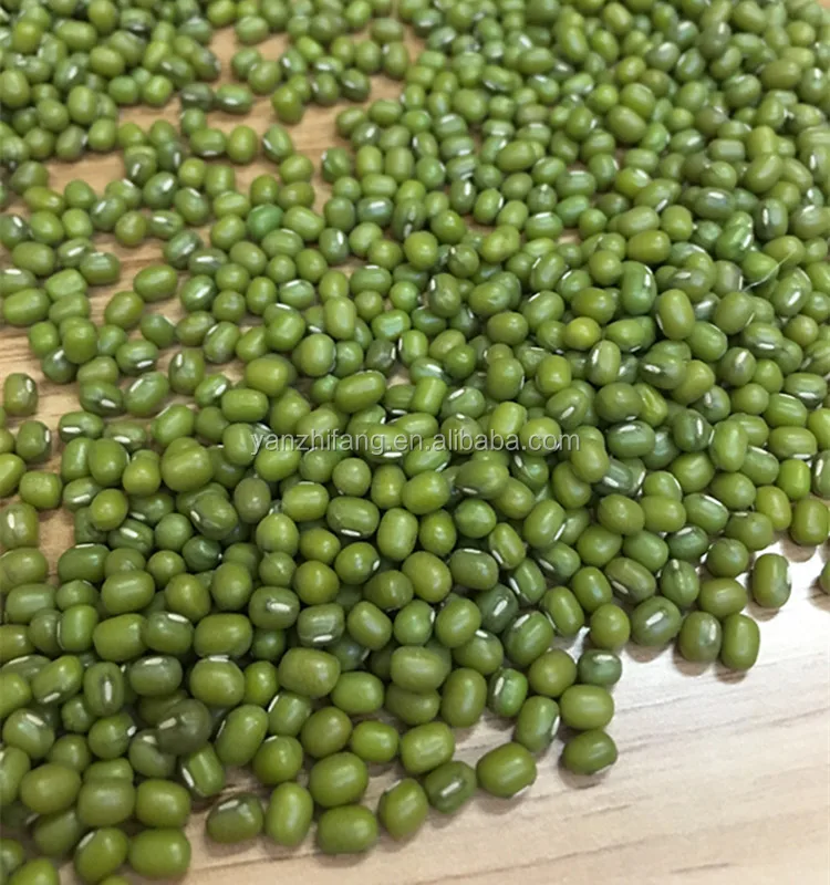 
Hot sale cheap dried green beans green mong beans high quality 