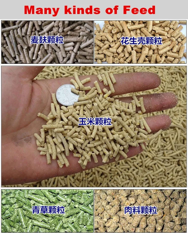 pellet machine manufacturer/animal feed pellet making machine/granulation machine supplier (lydia WhatsApp:+8615965977837)