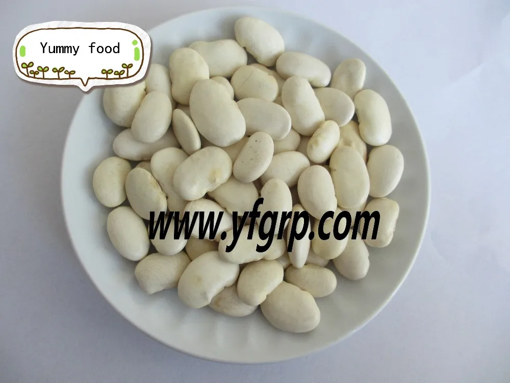 
Super grade Medium white kidney bean(square shape) 