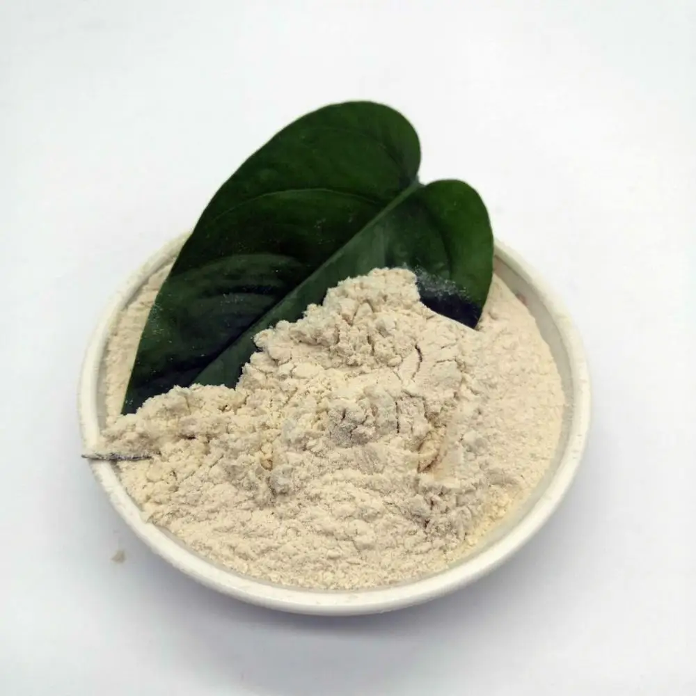 Pure Nature  food grade wheat gluten Quality Vital wheat gluten